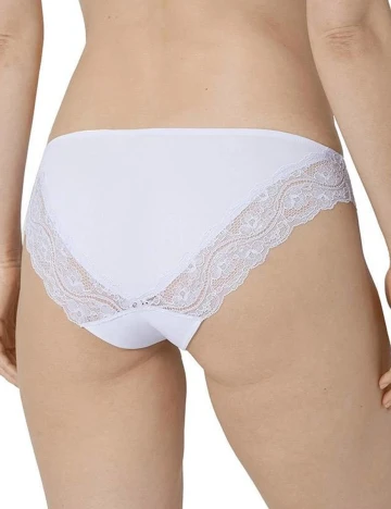 Chilot Triumph, lila