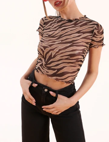 Top House Brand, bej
