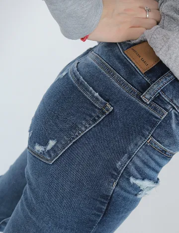 Blugi American Eagle, albastru