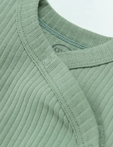 Body Cool Club, verde Verde