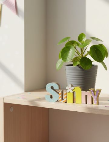 Accesoriu decorativ, mix culori