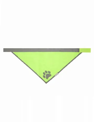 Bandana pentru caini Pets Dreamteam, verde Verde