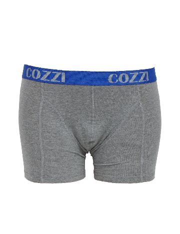 Set Boxeri 2 perechi Cozzi, albastru/gri