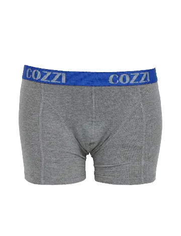 Set Boxeri 2 perechi Cozzi, albastru/gri Mix culori