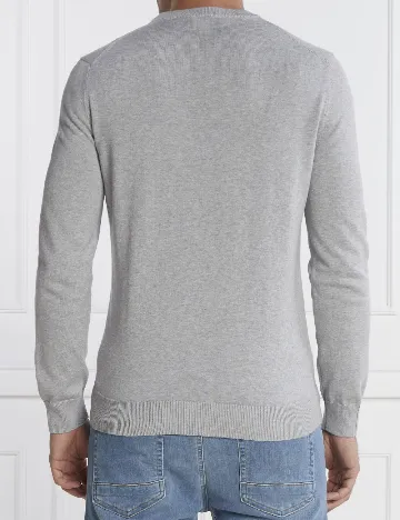 Bluza Lacoste, gri Gri