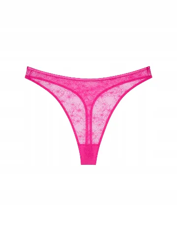 Chilot Triumph, roz Roz