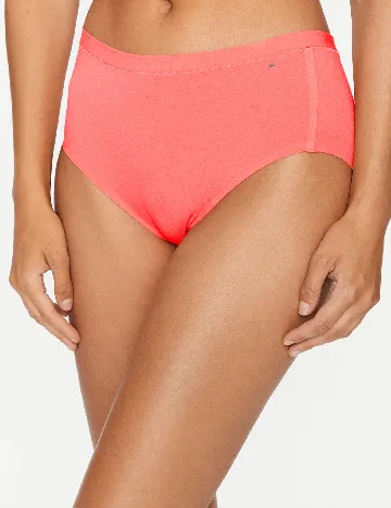 Chilot Triumph, roz Roz