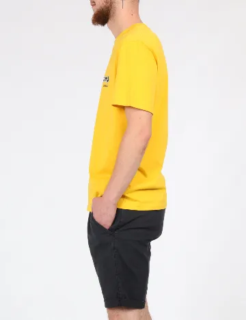 Pantaloni scurti INDICODE, gri