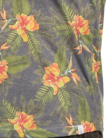 Maiou !Solid, mix culori