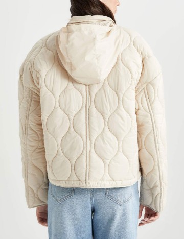 Jacheta DeFacto, bej