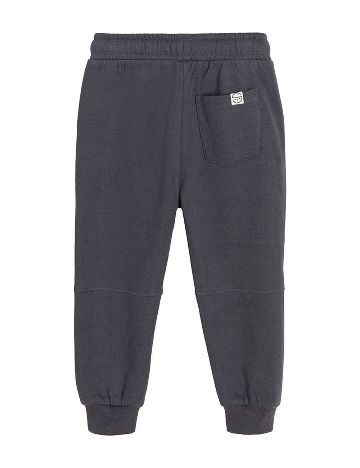 Pantaloni Cool Club, gri