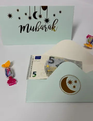 Set plicuri 10 bucati AVEC, verde