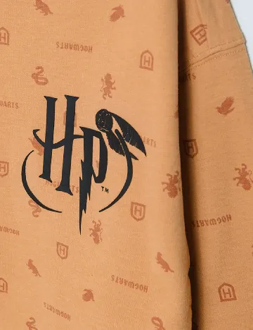 Bluza Cool Club, maro