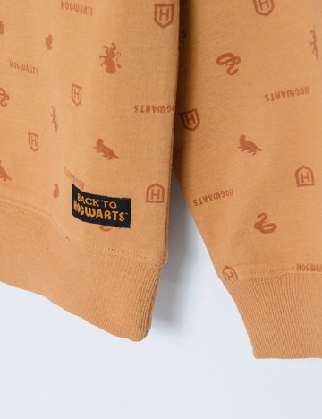 Bluza Cool Club, maro