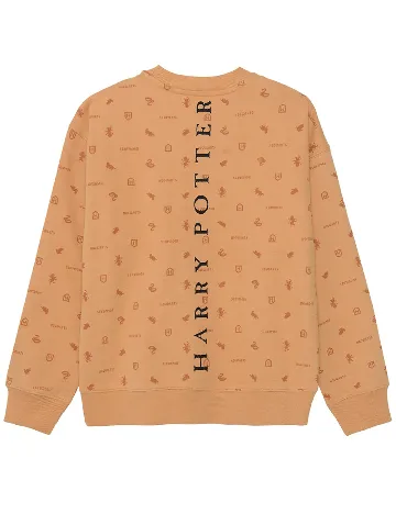 Bluza Cool Club, maro