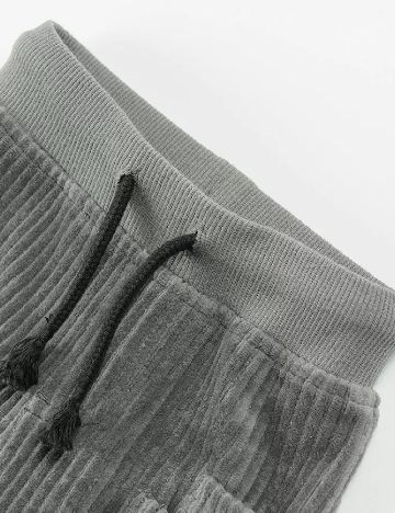 Pantaloni Cool Club, gri