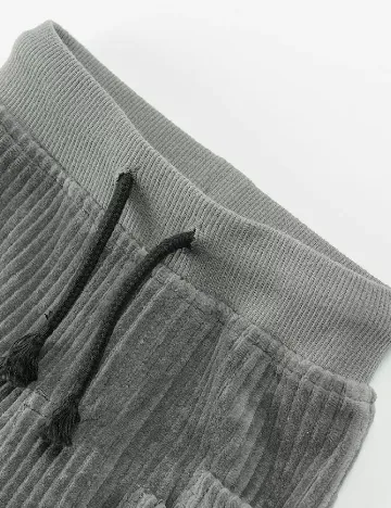 Pantaloni Cool Club, gri Gri