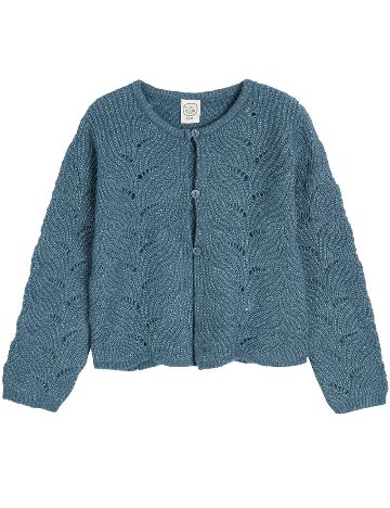 Cardigan Cool Club, albastru