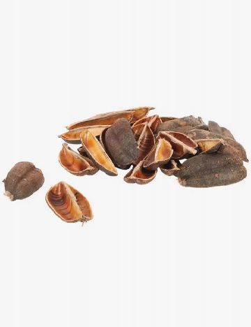 Materiale decorative naturale Home Accents, maro