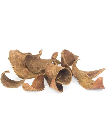 Materiale naturale decorative Home Accents, maro Maro