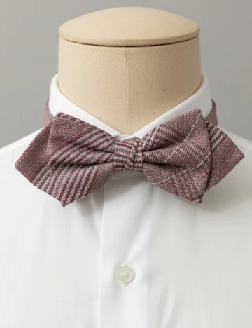 Papion Zara, visiniu Rosu