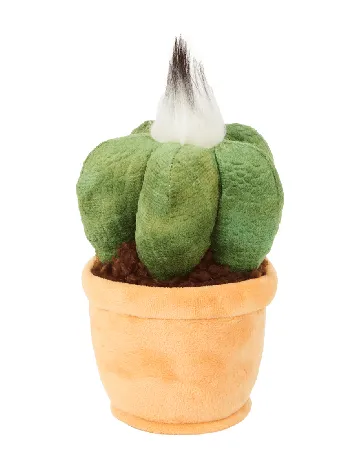 Planta de plus in ghiveci Toys Amsterdam, mix culori