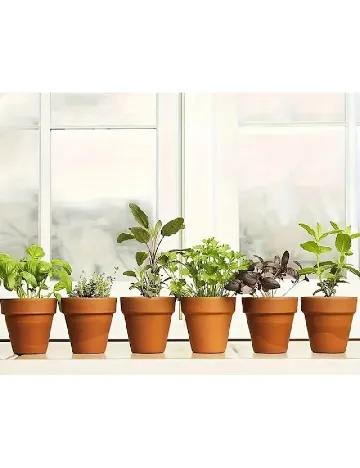 Set mini ghivece din teracota 6 bucati ACTION, maro