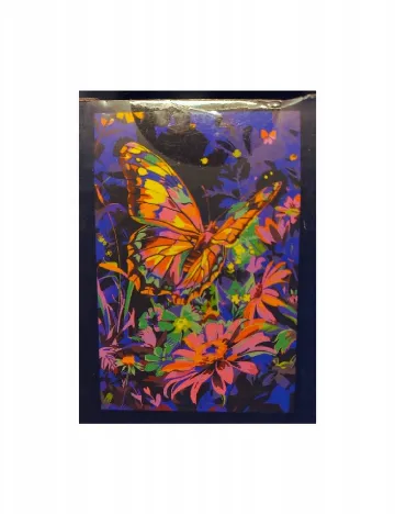 Set de pictura pe numere AVEC, mix culori